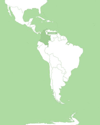 COLOMBIA, TOLIMA RESERVE, WASHED